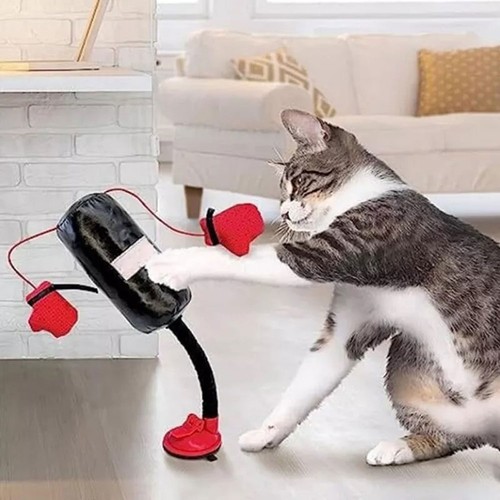 Cat punching bag gloves - punching,