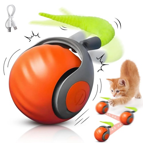 Speedy tail - speedy, 2.0,