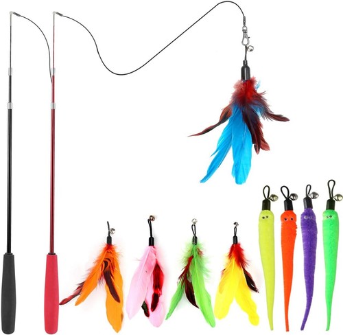 Interactive cat toys - cat,