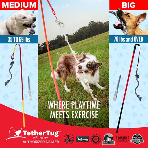 Tether tug outdoor dog - tether,
