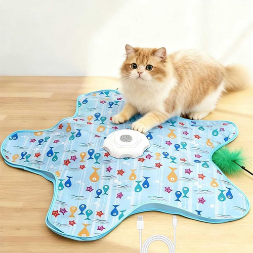 Interactive cat toys - cat,