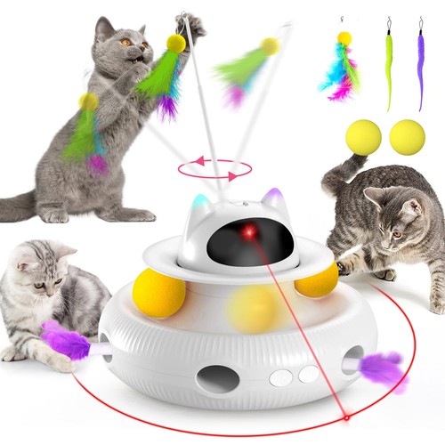 Cat laser interactive indoor - laser,
