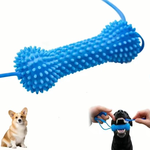 Dog dental chew toy teeth - toy,