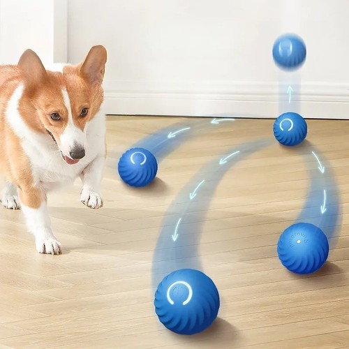 Automatic moving dog - automatic,