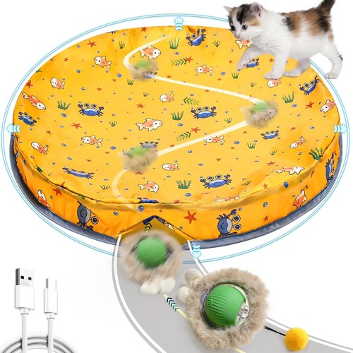 Interactive cat toy - cat, toy,self